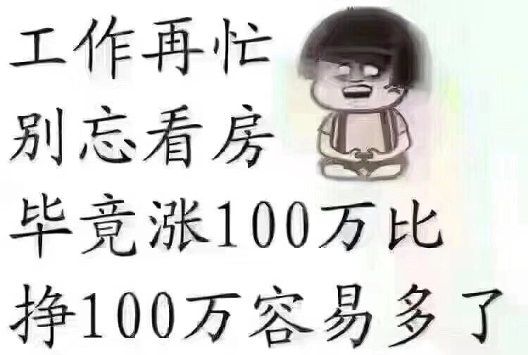 买房不要问没买过房人的意见,他们没试过20万买,100万卖出去的感受(图2) 买房不要问没买过房人的意见,他们没试过20万买,100万卖出去的感受(图2)