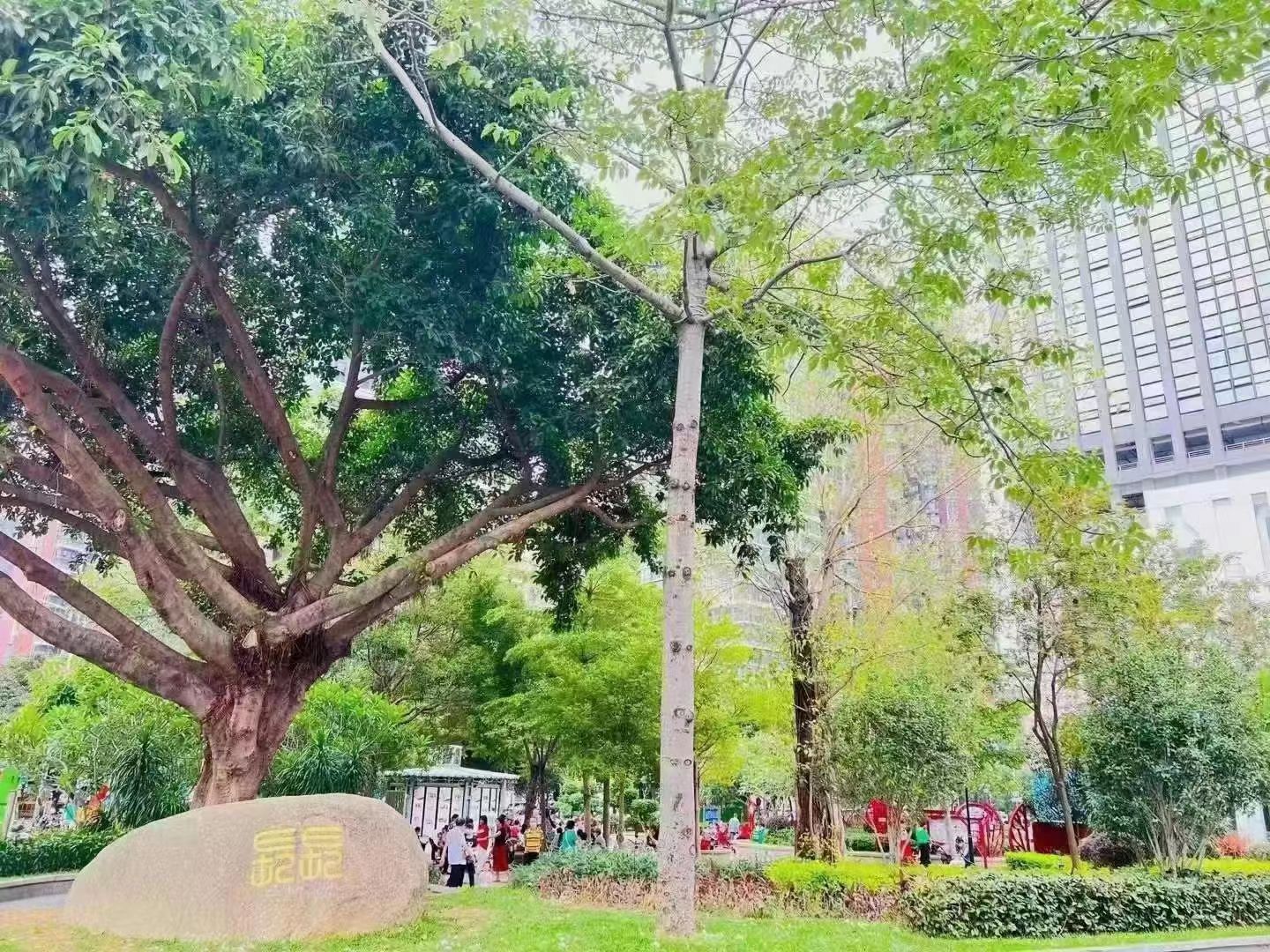 4号线龙华站【鑫园名居】弓村精装两房首付25万(图3) 4号线龙华站【鑫园名居】弓村精装两房首付25万(图3)