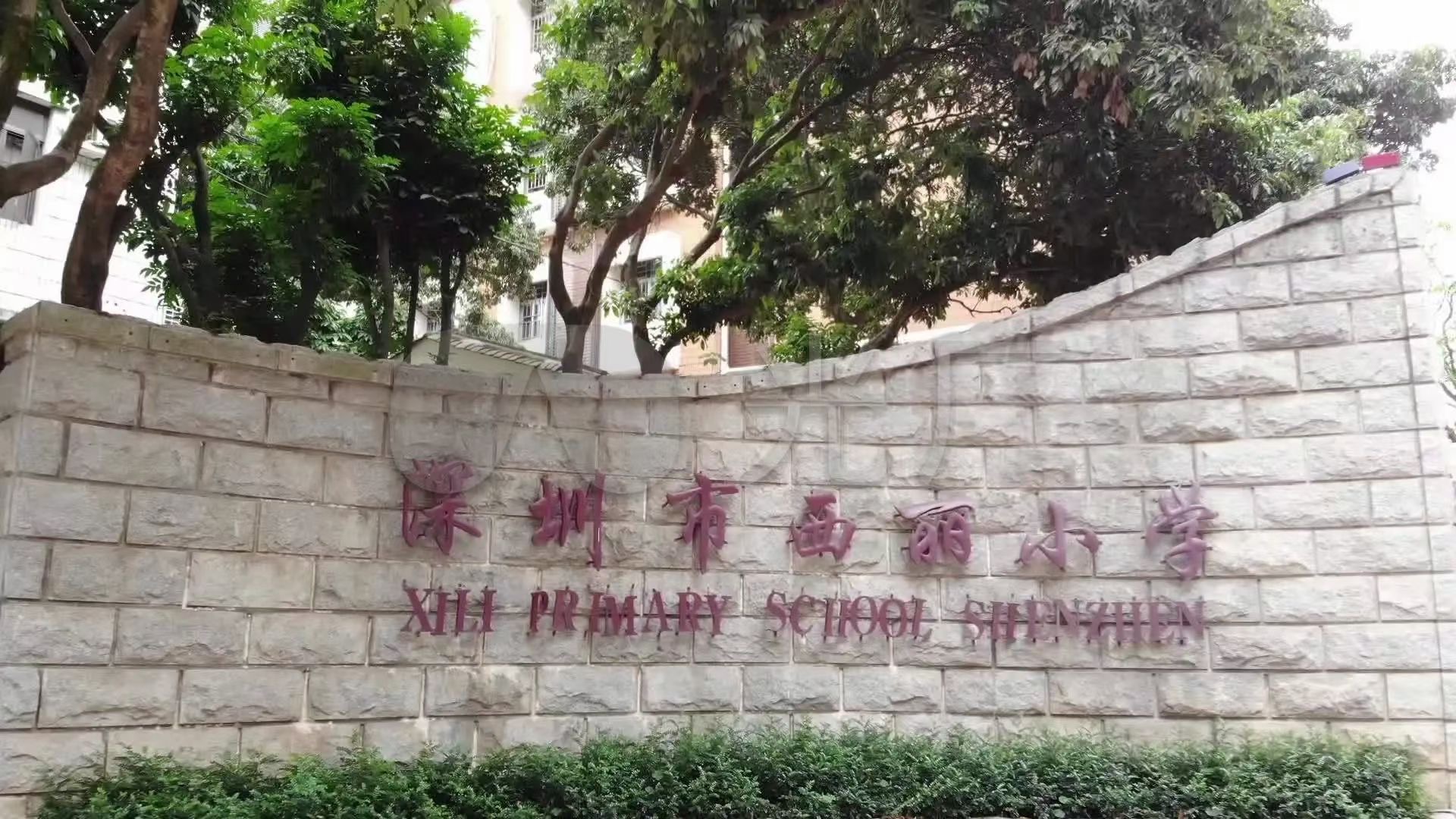 南山西丽地铁口【西丽九祥岭】首付18万一套起(图3)