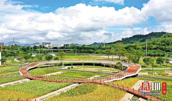 光明稀缺原始户型【汇富名苑】楼村地铁口300米(图3)