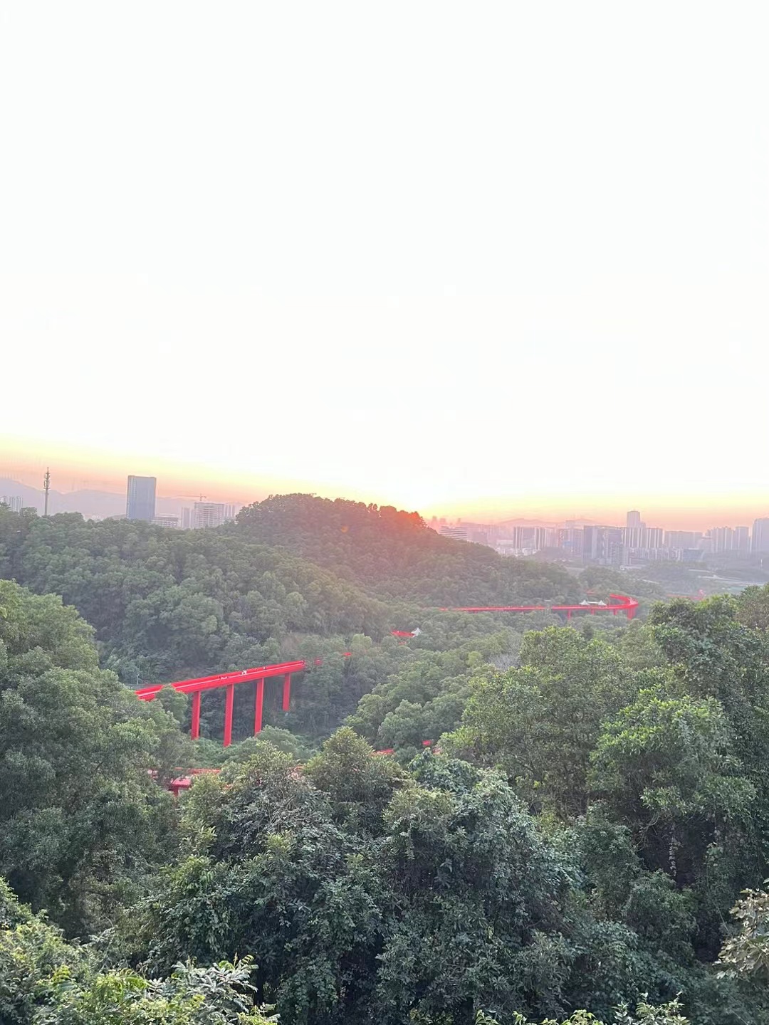 统建楼当白菜价卖【绣丽富仁居】光明8栋花园8980一平起(图8)