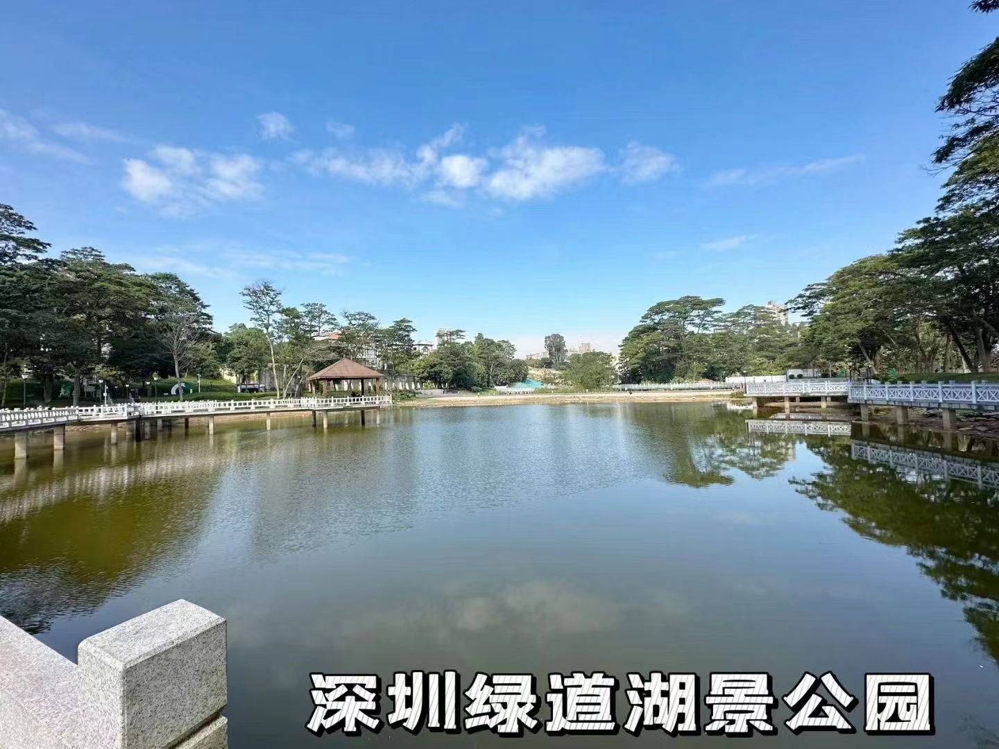 龙华大浪罗屋围【雅园悦府】精装两房总价49.8万一套起(图2)