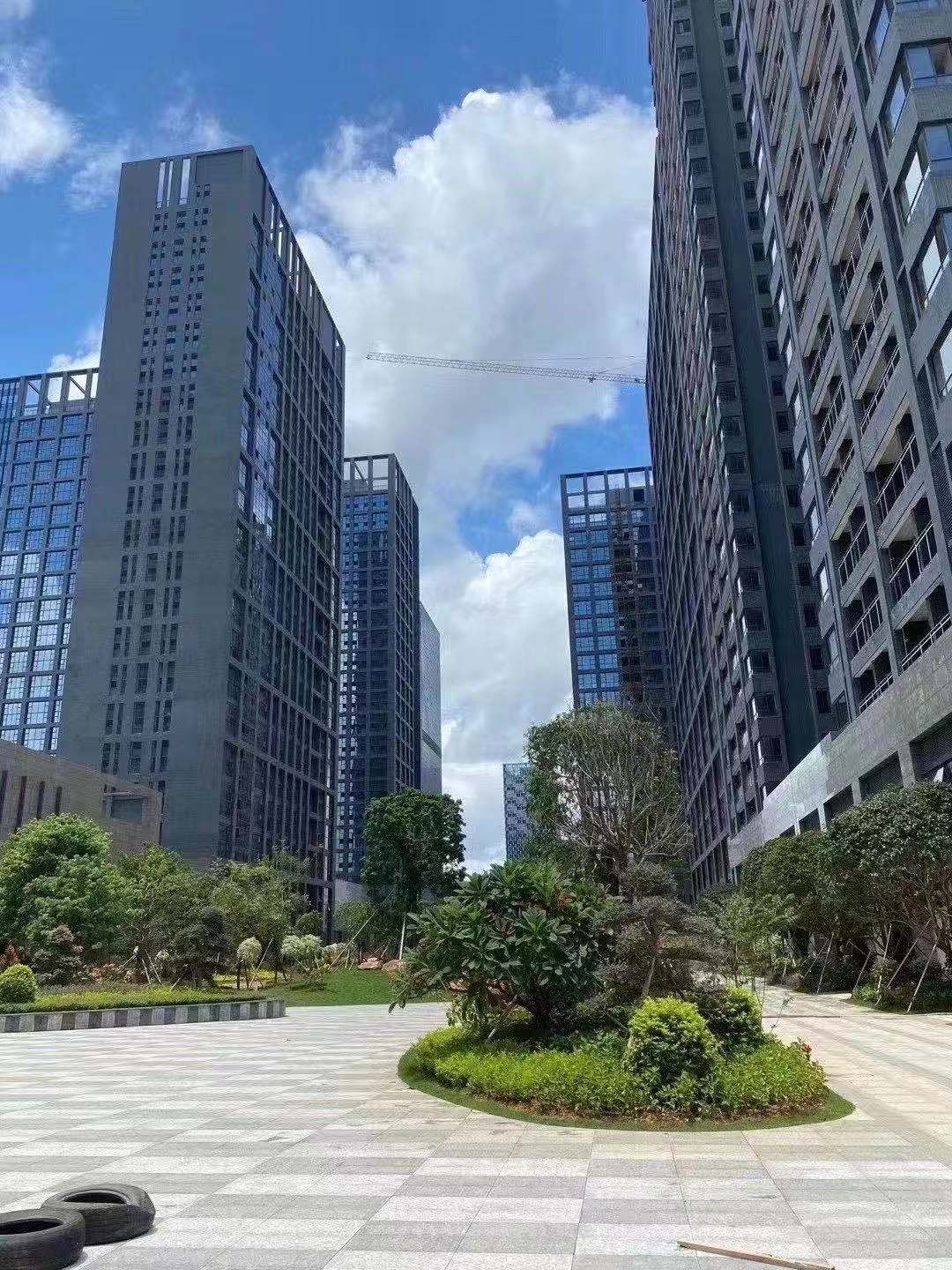 真正地铁口100米【宝龙一号】龙岗7栋花园复式13000一平(图7) 真正地铁口100米【宝龙一号】龙岗7栋花园复式13000一平(图7)