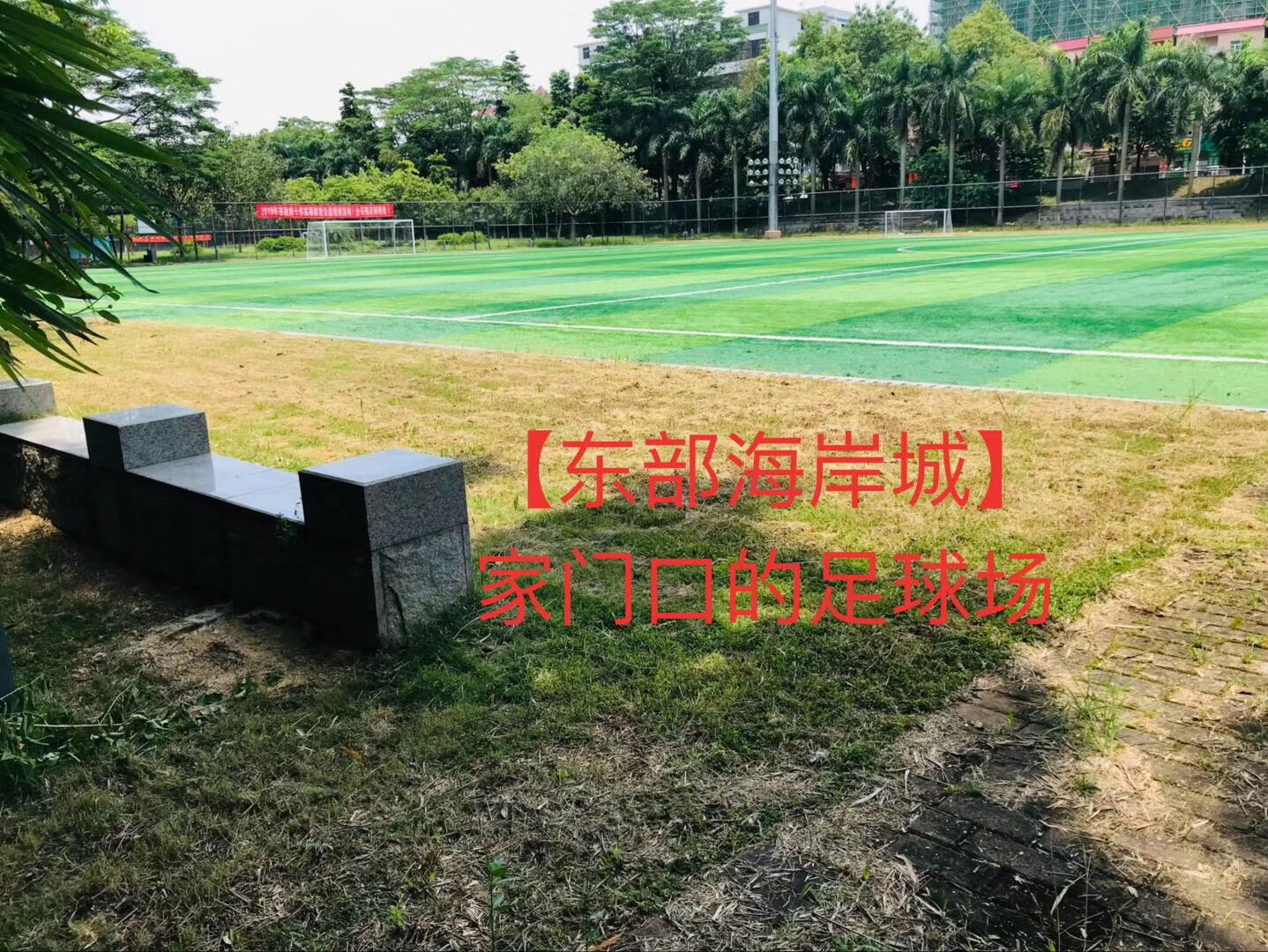 企石村委集资房【东部海岸城】3栋花园2580一平起(图7)