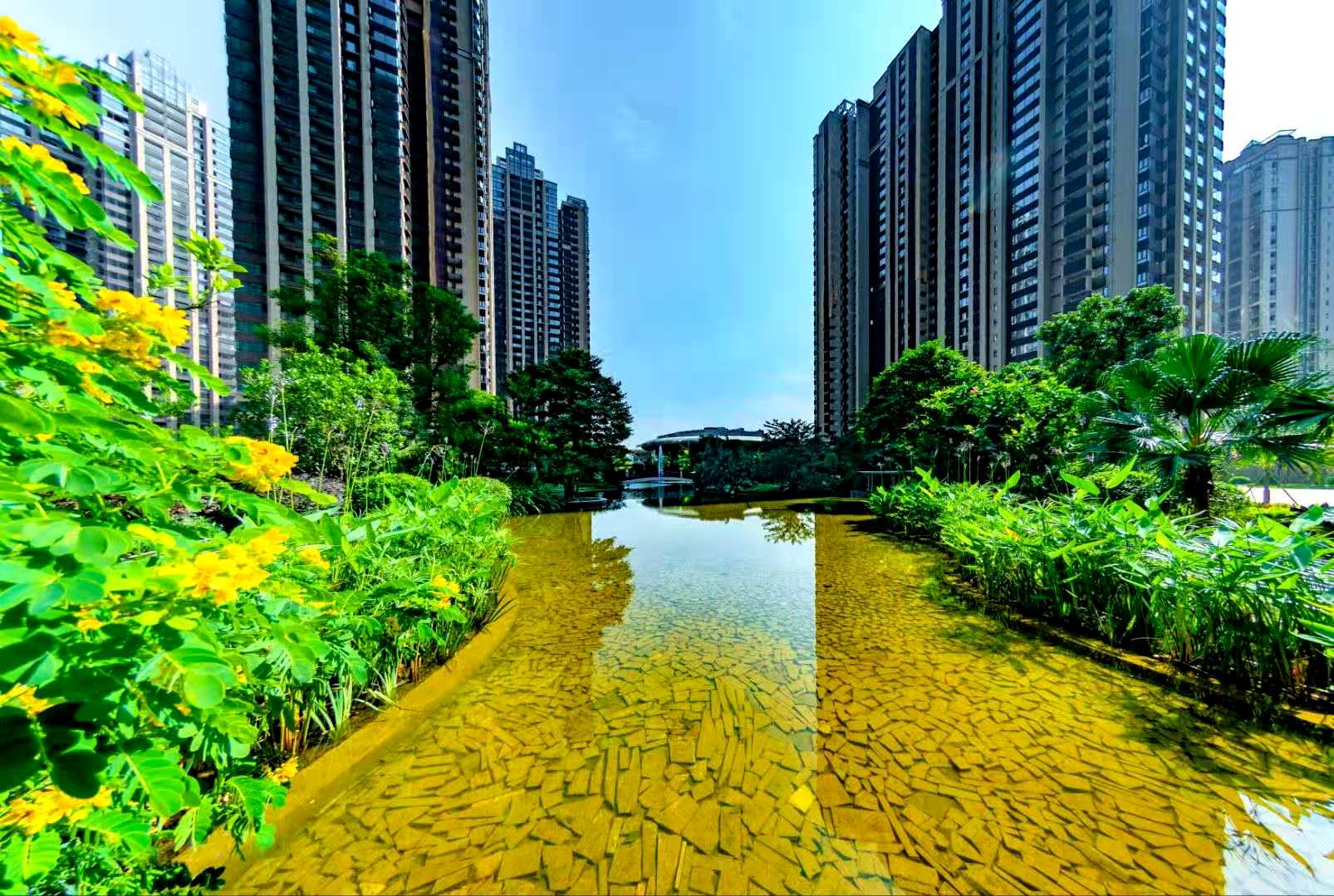 深圳14号线地铁口【金地花园】1.8万一平红本房(图3)