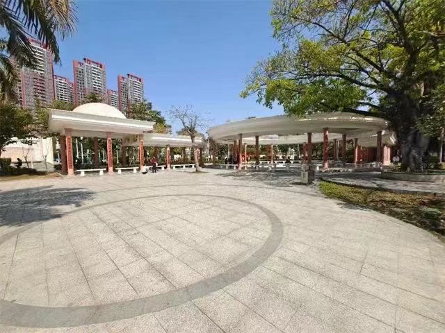 龙岗双龙【新生壹号】地铁口300米3栋花园(图3)